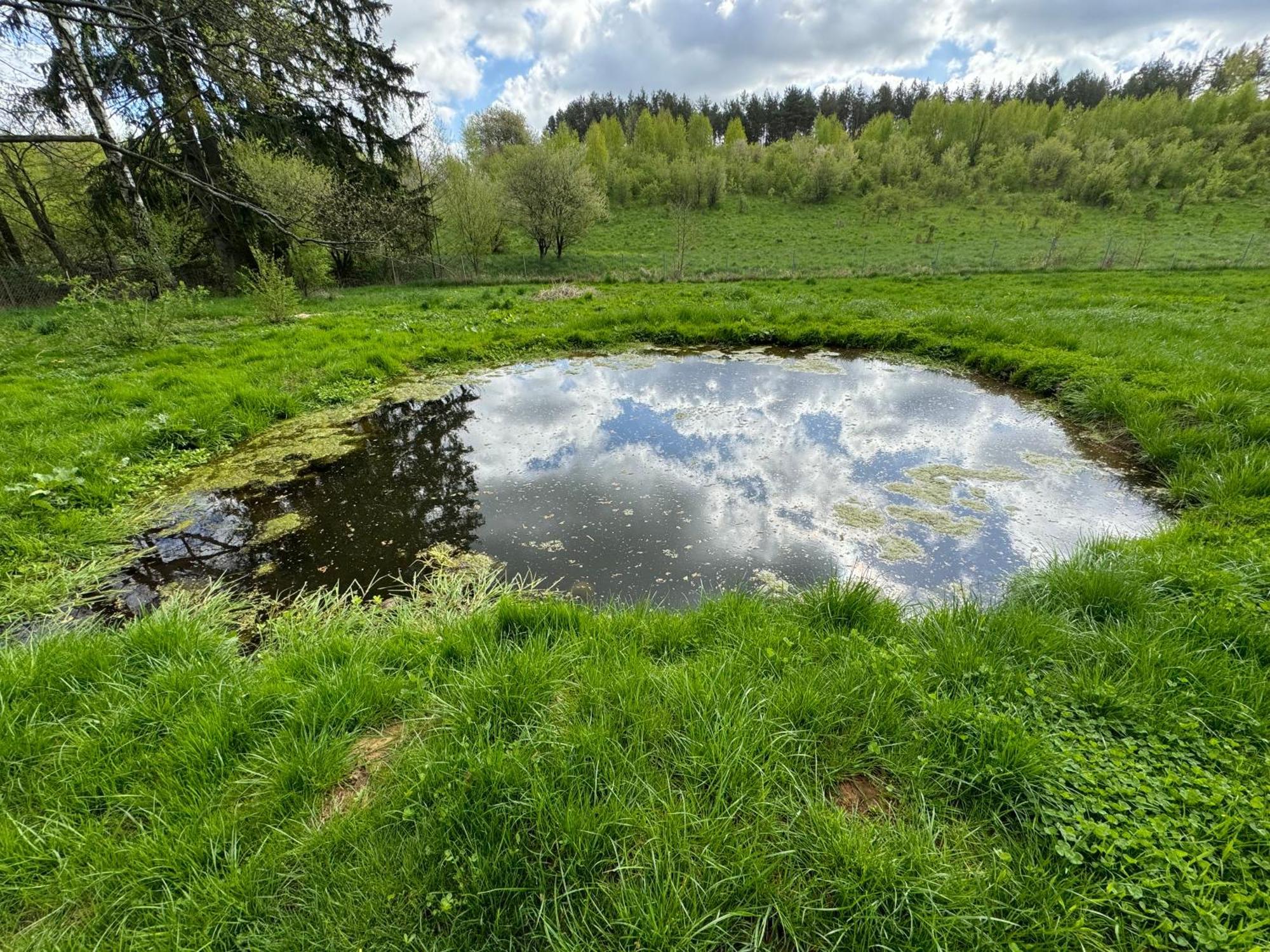 Samotnia Biesalska * Biesal