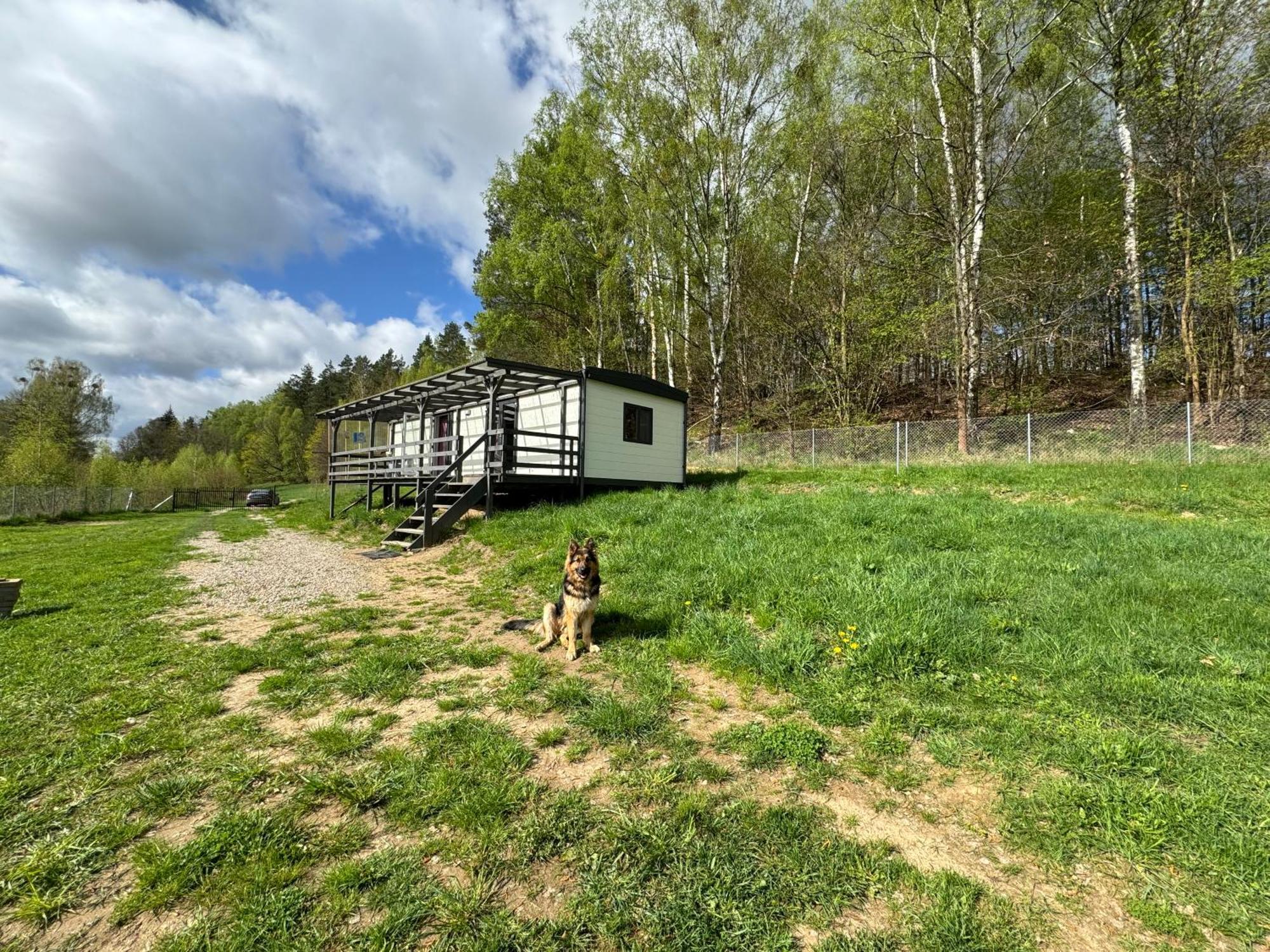 Samotnia Biesalska Holiday home